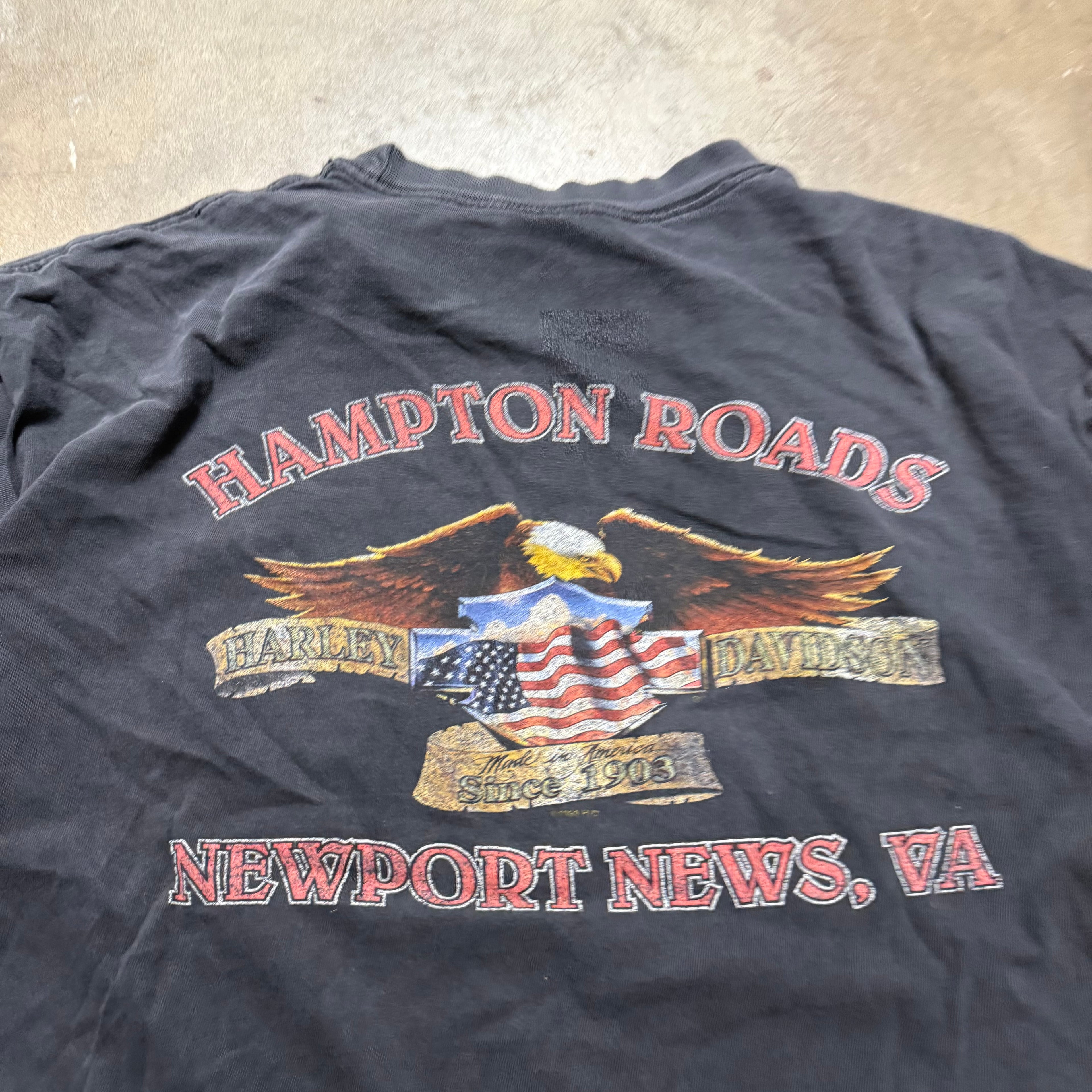 Size XL - Vintage Harley Davidson Hampton roads Eagle ‘ tee