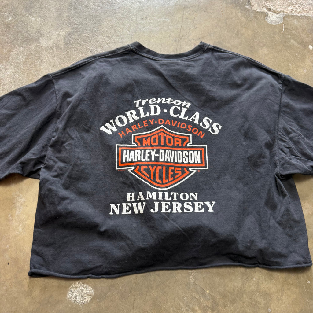 Size small - Vintage Harley Davidson Flame Cropped Boxy tee