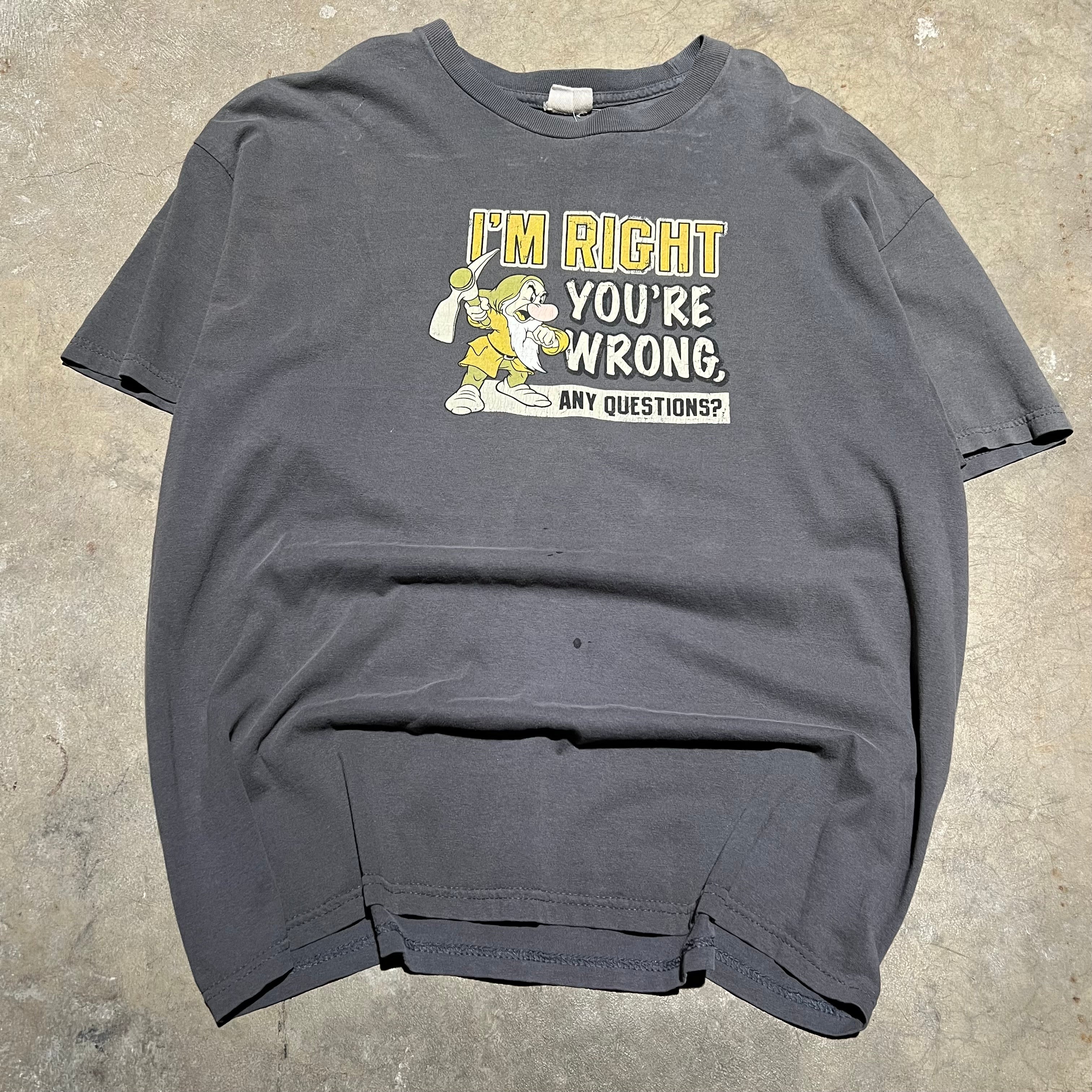 size large - Vintage ' Grumpy Im right your wrong ' tee