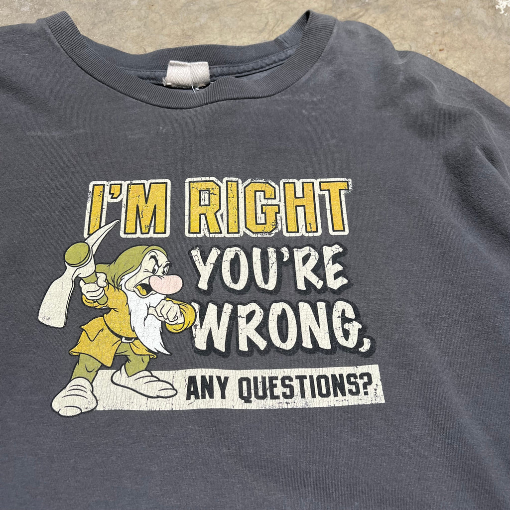 size large - Vintage ' Grumpy Im right your wrong ' tee