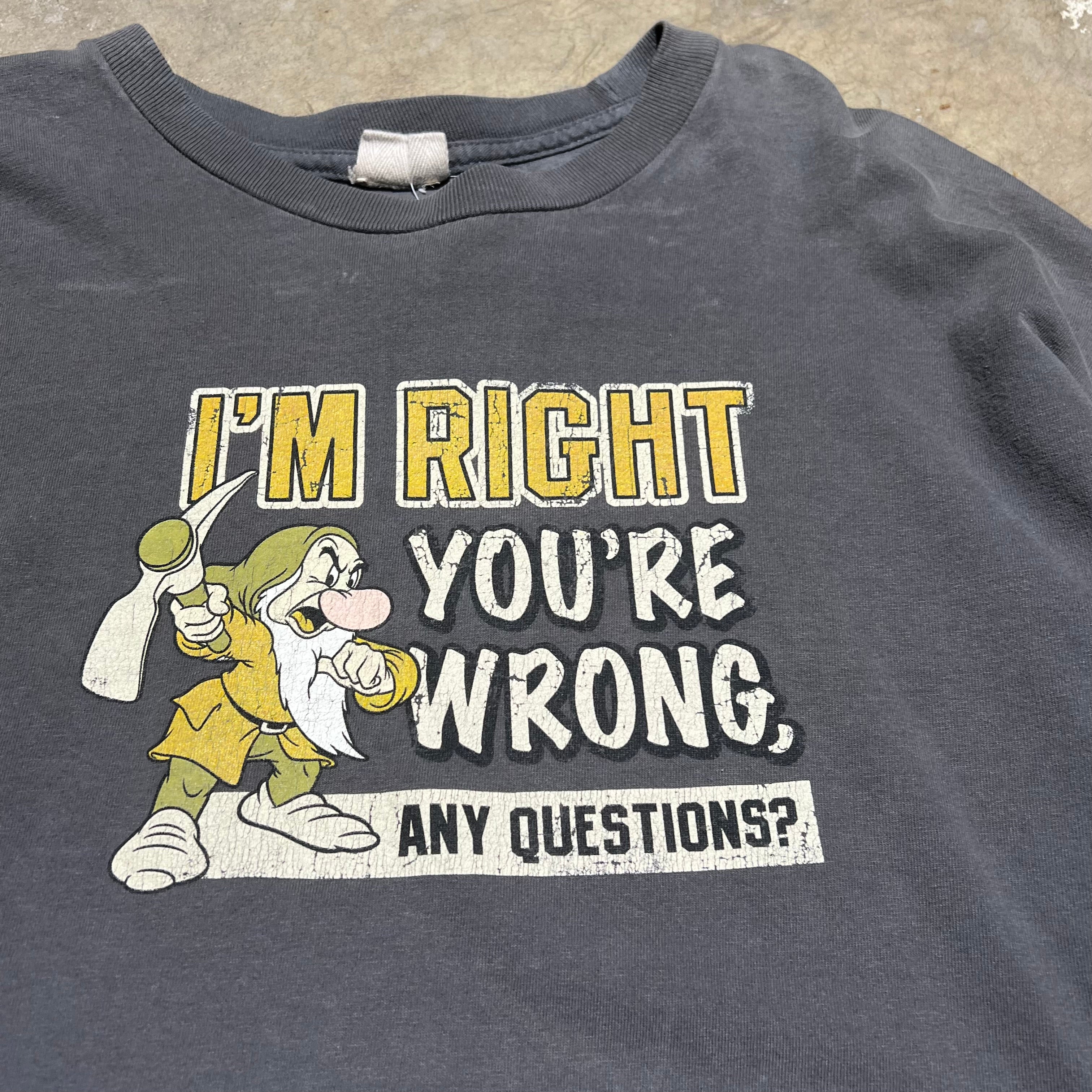 size large - Vintage ' Grumpy Im right your wrong ' tee