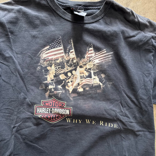 size large - Vintage ' Harley Davidson Why we Ride MT.Baker ' tee
