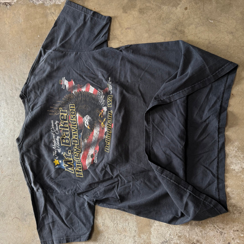 size large - Vintage ' Harley Davidson Why we Ride MT.Baker ' tee