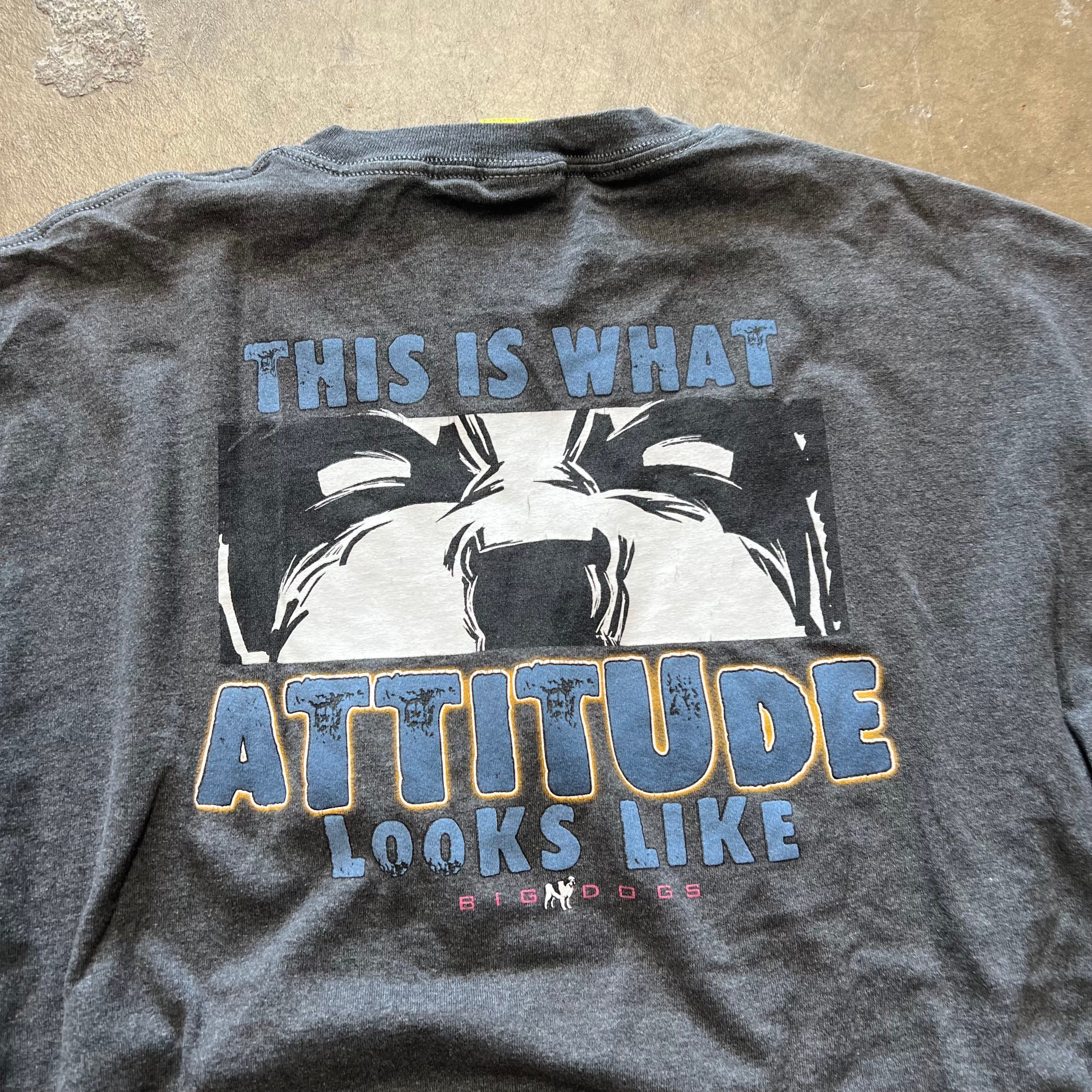 size xl - Vintage Big Dogs Attitude tee