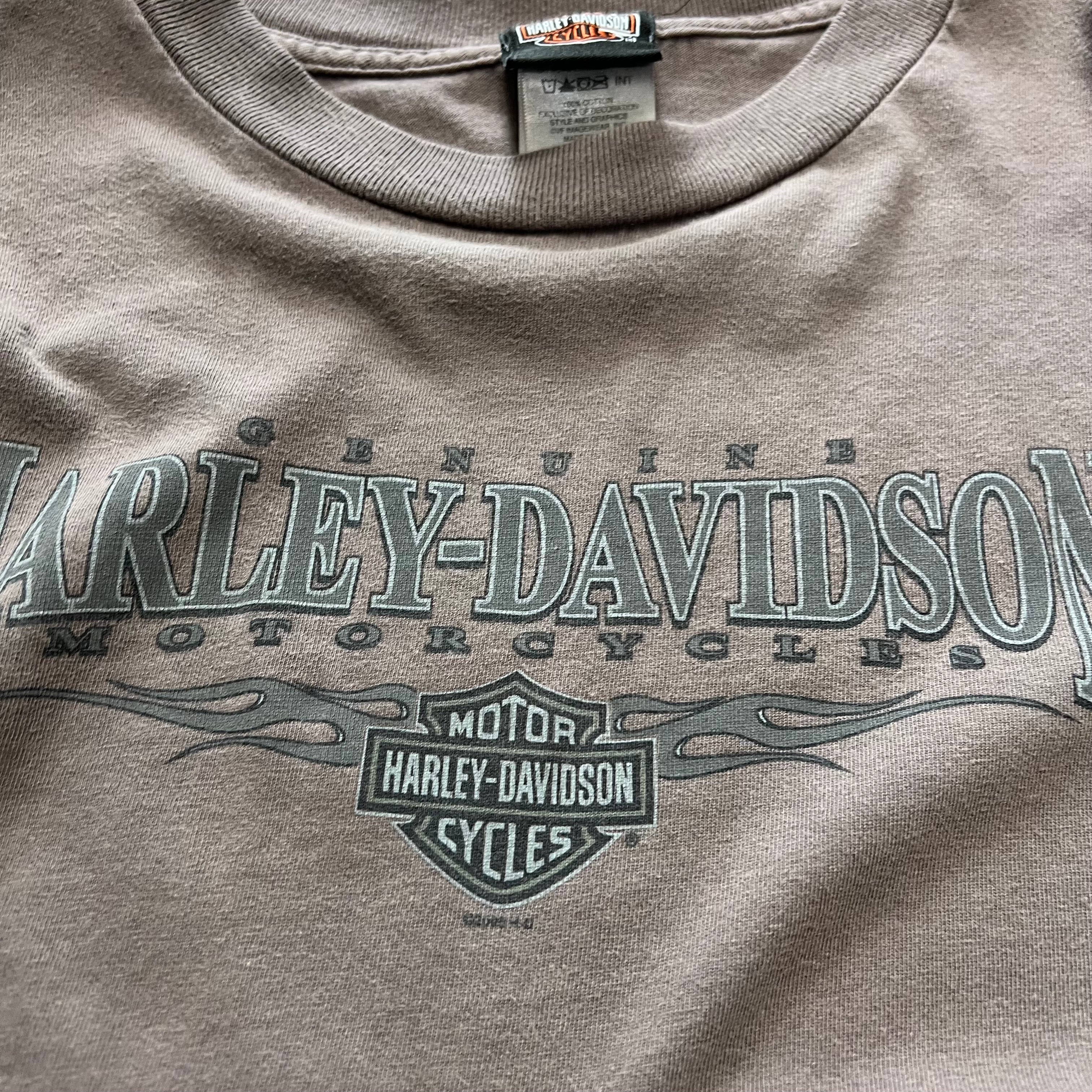 size xl - Vintage Harley davidson Flame sleeve tee